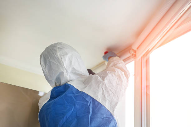 Best Forensic Mold Investigation  in Homosassa Springs, FL