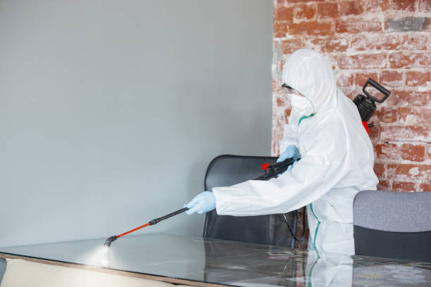 Best Dehumidification Services  in Homosassa Springs, FL