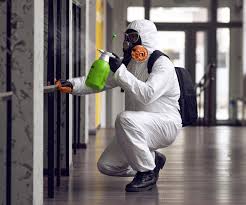  Homosassa Springs, FL Mold Removal Services Pros